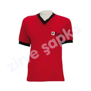 Classic V-Neck T-Shirt